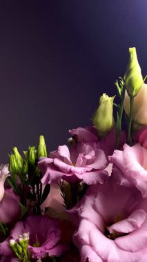 Beyaz tomurcukları, romantik çiçekleri, düğün süslemeleri, lüks çiçekleri, güzellik kavramları, doğal zarafeti olan koyu arkaplan çiçekleri üzerine pembe Eustoma ve gül buketi.