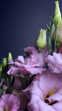 Pembe lisianthus ve yumuşak arkaplanda balmumu dalları olan kasımpatı buketi. Güzel çiçek açan çiçekler, romantik çiçek kompozisyonu, doğal güzellik, makro yakın plan, zarif pastel buket.