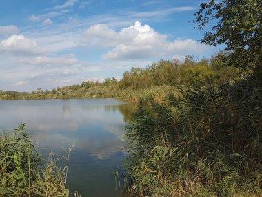 Çam ormanının yakınındaki bir köyde güzel bir göl.