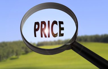 Büyüteç ile bulanık doğa arka plan üzerinde kelime fiyat. Fiyat kavramı arama