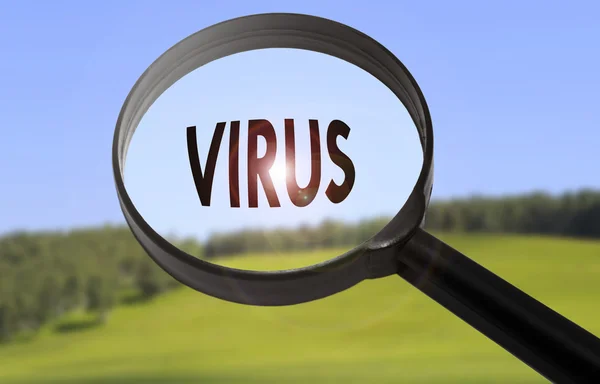 Magnifying glass with the word virus on blurred nature background. Searching virus concept — Stock Photo, Image