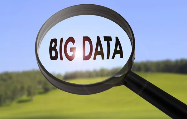 Lente d'ingrandimento con la parola big data sullo sfondo della natura offuscata. Ricerca concetto di big data — Foto Stock