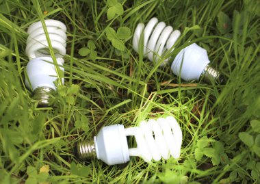 enerji tasarrufu lambası yeşil çimen