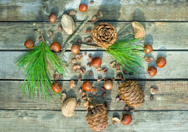 fındık karışımı