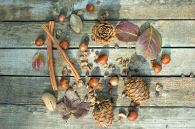 fındık karışımı