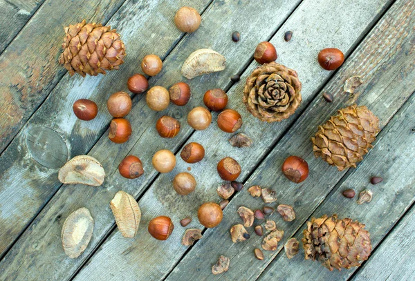 Mischung aus Nüssen — Stockfoto