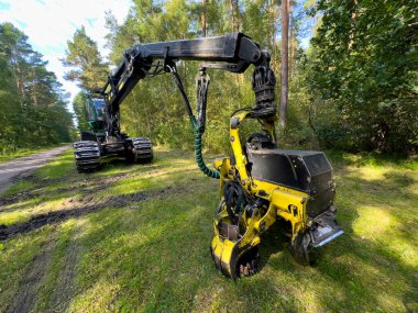 Orman yolunun kenarına park etmiş hasat ustası ya da kasap denen uzman bir orman makinası. Ahşap işleme endüstrisi.