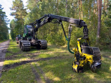 Orman yolunun kenarına park etmiş hasat ustası ya da kasap denen uzman bir orman makinası. Ahşap işleme endüstrisi.