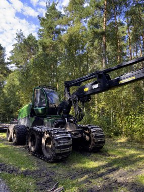 Orman yolunun kenarına park etmiş hasat ustası ya da kasap denen uzman bir orman makinası. Ahşap işleme endüstrisi.