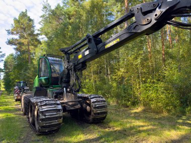 Orman yolunun kenarına park etmiş hasat ustası ya da kasap denen uzman bir orman makinası. Ahşap işleme endüstrisi.