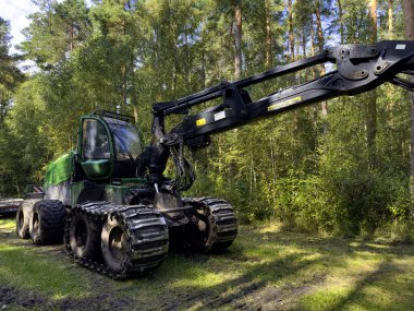 Orman yolunun kenarına park etmiş hasat ustası ya da kasap denen uzman bir orman makinası. Ahşap işleme endüstrisi.
