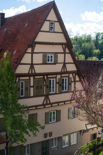 Exkursion Südwestdeutschland Historisches Holzhaus Schwarzwald — Stockfoto