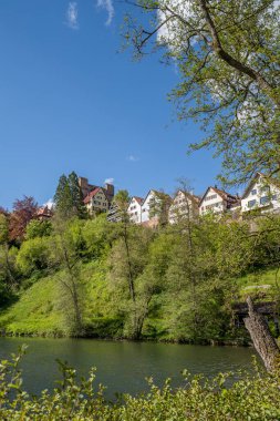 Almanya 'nın güneybatısındaki gezi, tepenin üzerindeki Kara Orman Köyü' nden ayrıldı.