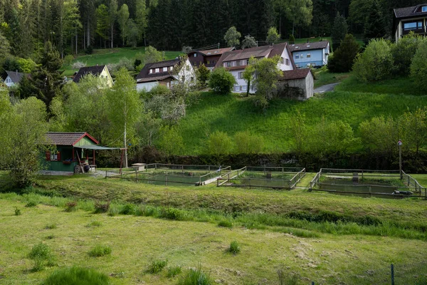 Exkurze Jihozápadním Německu Pstruh Ryby Farma Černém Lese — Stock fotografie