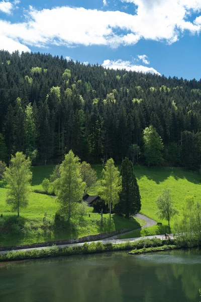 Kirándulás Dél Nyugati Német Fekete Erdő Erdők Rét Panoráma — Stock Fotó