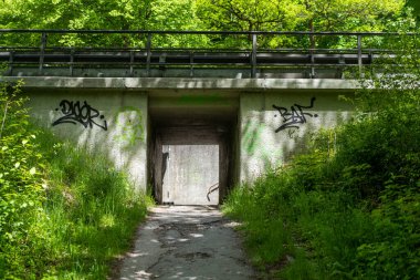 Almanya 'da gündüz yürüyüşü Ormanda beton altgeçit yolu