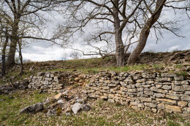 Alman ilkbaharında gündüz yürüyüşü. Kırık taş duvar ve ağaçlar.