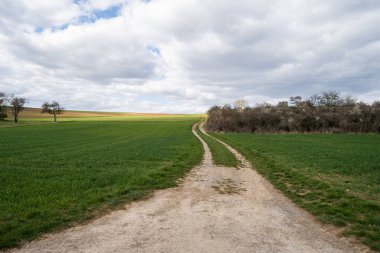 Almanya 'da gündüz yürüyüşü ilkbaharda güzel bir kır yolunda yürürken