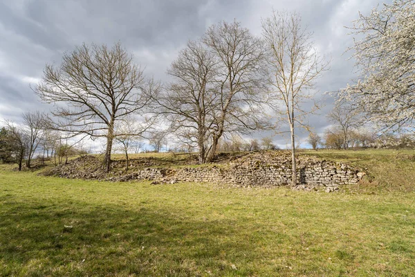 Almanya 'da gündüz yürüyüşü Taştan duvarlı yeşil tarım arazisi