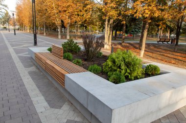 Güzel bir sonbahar parkında çiçek tarhlı güzel bir bank. Seçici odak.