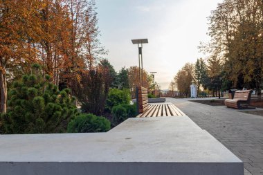 Güzel bir sonbahar parkında çiçek tarhlı güzel bir bank. Seçici odak.