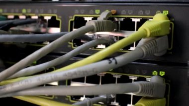 Ağ ekipman operasyonu LED 'ler yanıp sönen veriler iletiliyor. Bilgi teknolojisi bilgisayar ağı, internet anahtarına bağlı ethernet telekomünikasyon kabloları. Seçici odak.