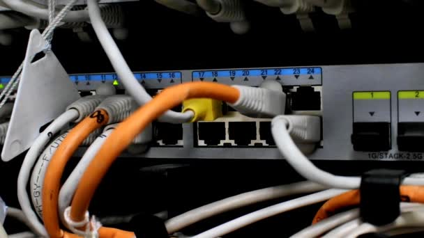 Diody Elektroluminescencyjne Przesyłane Mgnieniu Oka Informatyczna Sieć Komputerowa Kable Telekomunikacyjne — Wideo stockowe