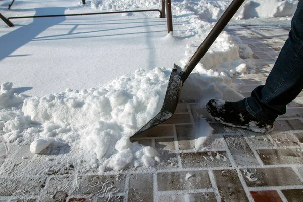Man Clears Snow Path Blizzard Using Snow Shovel — Stock Photo, Image