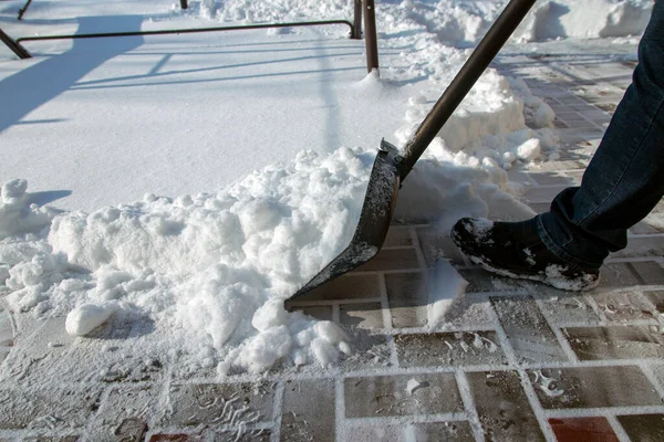 Een Man Ruimt Sneeuw Van Een Pad Een Sneeuwstorm Met — Stockfoto