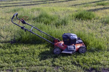  Bahçedeki çimler bir çim biçme makinesiyle biçildi. Çim biçme makinesi yeşil çimlerde