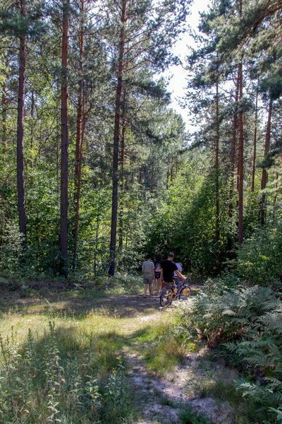 Vista Trasera Una Familia Caminando Juntos Bosque —  Fotos de Stock