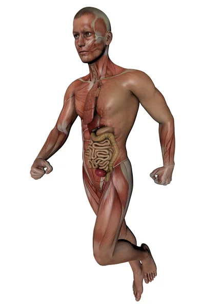 Fitness man body — Stock Photo, Image