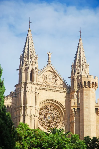 Cathédrale de Santa Maria — Photo
