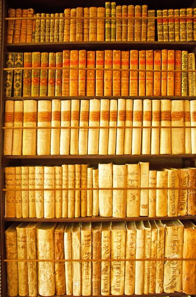 Mallorca, Balearic Islands, Spain: precious ancient books in the library of the Valldemossa Charterhouse — Stock Photo, Image