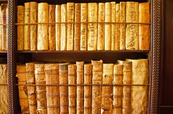 Mallorca, Balearen, Spanien: Kostbare antike Bücher in der Bibliothek der Kartause von Valldemossa — Stockfoto