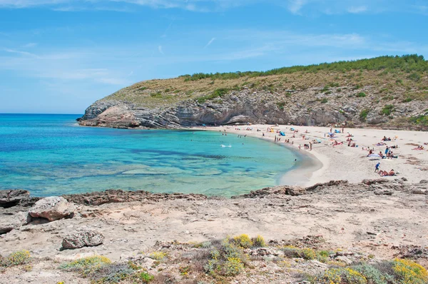 Mallorca, Baleári-szigetek, Spanyolország: panorámás kilátás a tengerparti Cala Torta, az északkeleti, a sziget egyik uncrowded — Stock Fotó