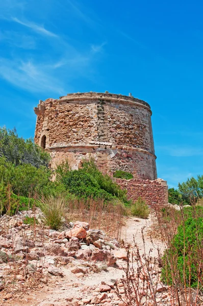 Mallorca, Islas Baleares, España: vista de maquis mediterráneos con Torre des Matzoc, la antigua torre de vigilancia del Morro d 'Albarca —  Fotos de Stock