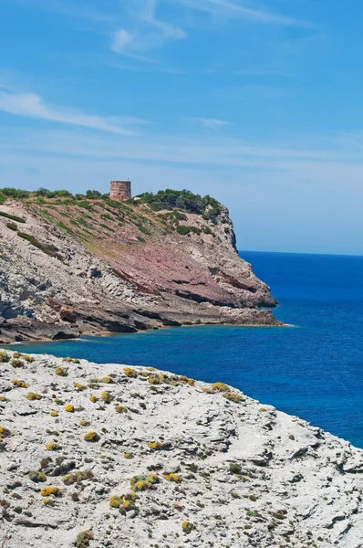 Mallorca, Balearen, Spanien: Blick auf die mediterrane Macchia mit dem Torre des Matzoc, dem alten Wachturm auf Morro d 'Albarca — Stockfoto