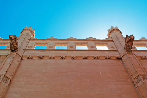 Mallorca, Islas Baleares, España: gárgolas en la Catedral de Santa María de Palma, conocida como La Seu, la catedral gótica católica de Palma de Mallorca — Foto de Stock