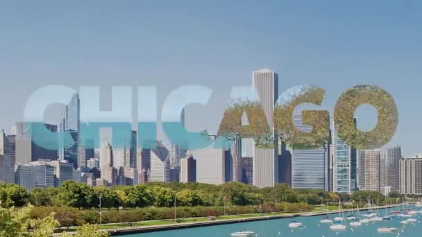 Chicago cidade com skylines — Vídeo de Stock