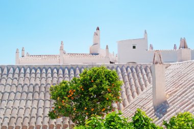 Menorca, Balear Adaları, İspanya: beyaz evler, çatılar ve mandalina ağacı Binibeca Vell ünlü şehir manzarası