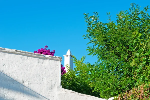 Menorca, Ilhas Baleares: uma casa branca com flores Bougainvillea nas ruas de Mahon — Fotografia de Stock