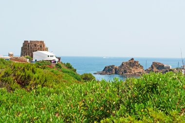 Menorca, Balear Adaları, İspanya: koyun ve Cala Mesquida beach görünümünü Punta de eski watchtower ile sa Torre