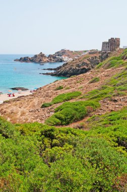 Menorca, Balear Adaları, İspanya: koyun ve Cala Mesquida beach görünümünü Punta de eski watchtower ile sa Torre
