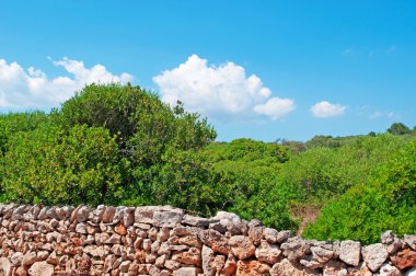 Menorca, Balear Adaları, İspanya: küçük ler kırsalında bir taş duvar