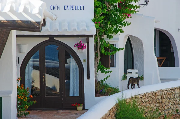 Minorque, Îles Baléares, Espagne : un chat dans les ruelles de la célèbre ville de Binibeca Vell — Photo