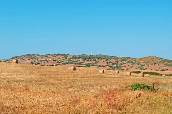 Minorca, Isole Baleari: covoni e campi di grano nella campagna minoritaria — Foto Stock