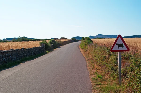 Menorca, Balearen: Waarschuwingsbord voor de passage van de koeien op het platteland Hypnomys — Stockfoto