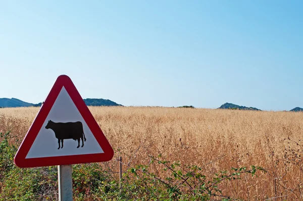 Menorca, Balearen: Waarschuwingsbord voor de passage van de koeien op het platteland Hypnomys — Stockfoto