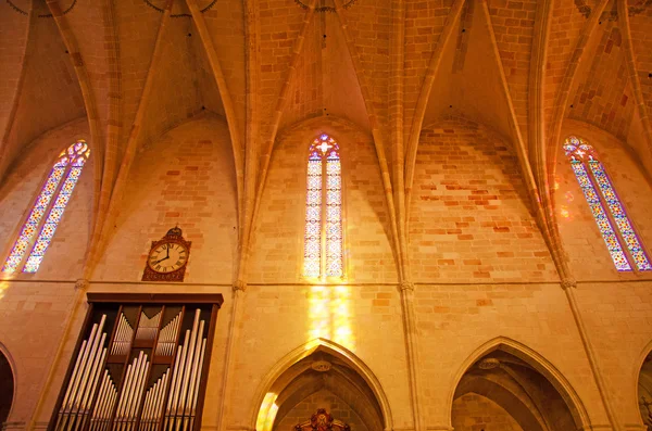 Menorca, Balearic Islands: the aisles and the interior on the Cathedral Basilica of Ciutadella — Stock Photo, Image